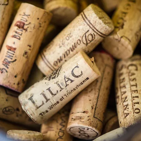 Villa Palmanova Suite Home *