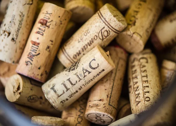 Villa Palmanova Suite Home *